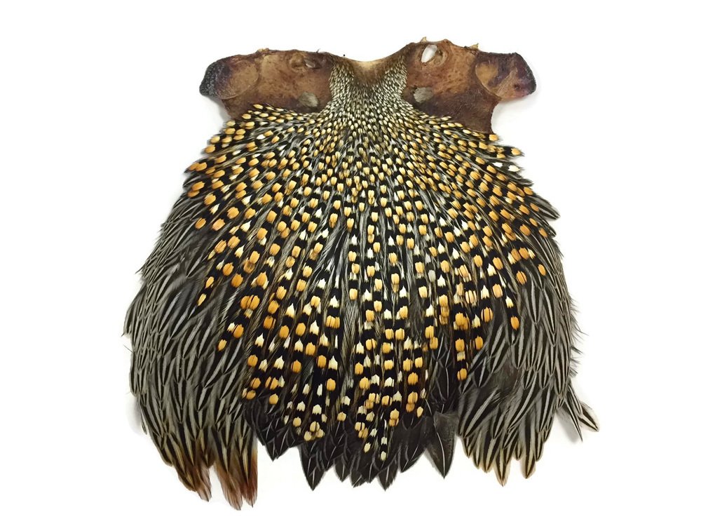 Amazon.com: 1 Piece - Top Grade Natural Gold Jungle Cock Cape
